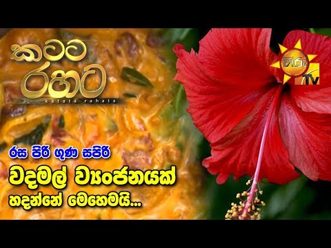 Hiru TV