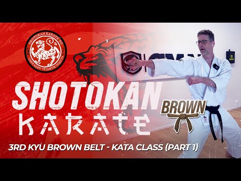 Shotokan Karate - 3rd Kyu - Brown Belt - Kata Class (Part 1) thumbnail