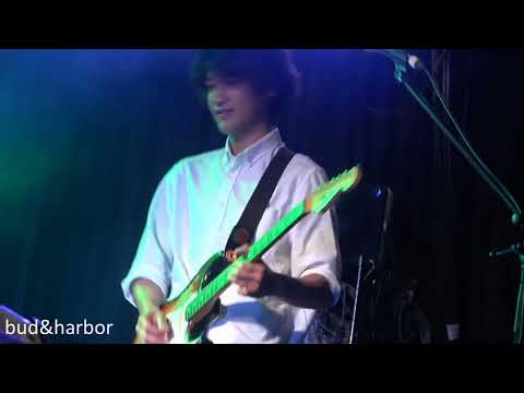 Shotgun Marriage/bud&harbor/THE HOPKINS