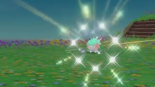 【BDSP】幻の色違いシェイミが出ました【ポケモンダイパリメイク】
