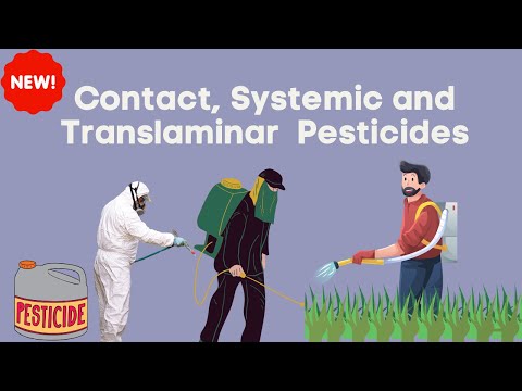 5 Types of Pesticides Explained | Contact, Systemic, Translaminar, Fumigant & Biopesticides