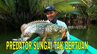 Download lagu [FULL] PREDATOR SUNGAI TAK BERTUAN | MANCING MANIA STRIKE BACK (31/01/26) mp3