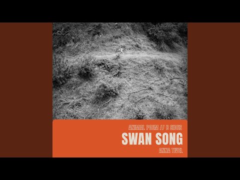 Swan Song