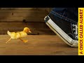 How To Make a Duckling Follow You | Busting Myths