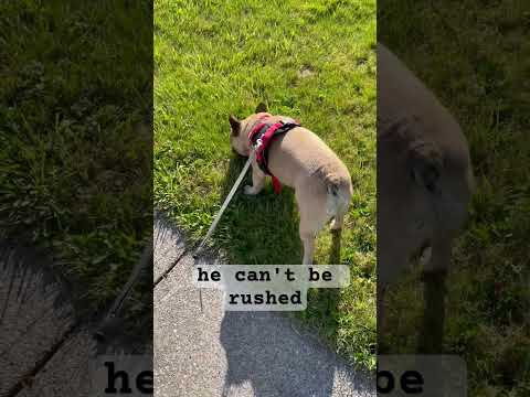 Be patient with the older people in your life. ❤️