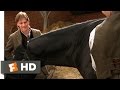 Black Beauty 1994 Training Scene 1 10 Movieclips