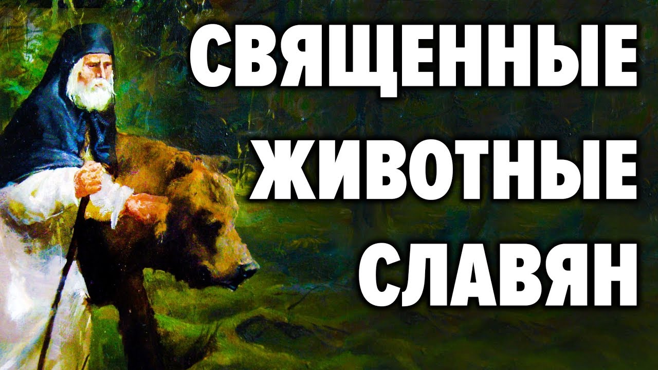 Сакральные животные у славян. Почему именно медведь символ нашей страны