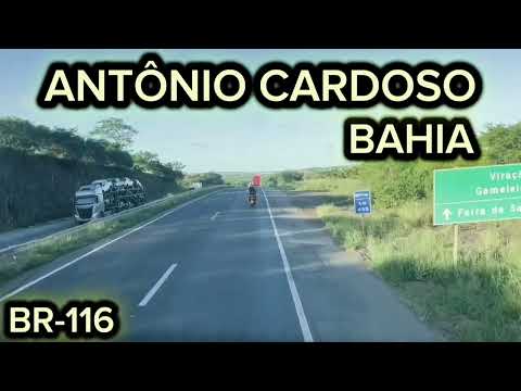 ANTÔNIO CARDOSO - BAHIA [BR-116 Dados Atualizados]