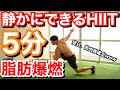 【筋肉痛確定w】静かにできるHIIT!!そりゃ痩せるわー!!