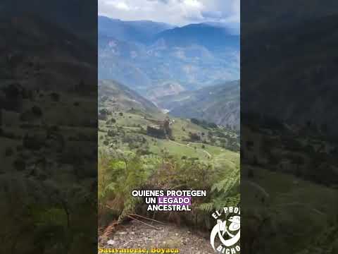 Sativa Norte - Boyaca