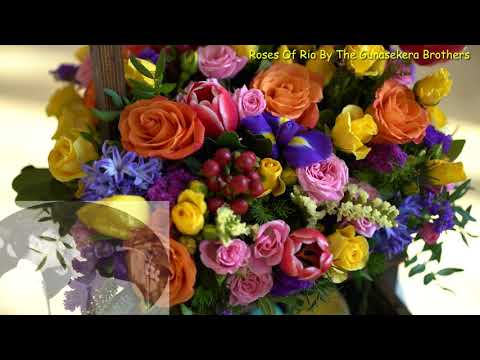 Roses Of Rio A Four Aces Cover Sung By The Gunasekera Brothers