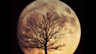 Klubb Zone 1 - Fly to Cherry Moon (Latin Bitch mix)