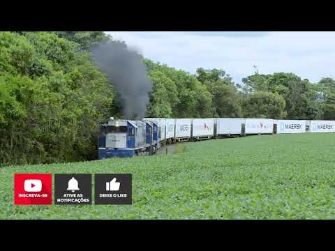 VIDA NOS TRILHOS | COMPILADO DE VDEOS DE TREM #1