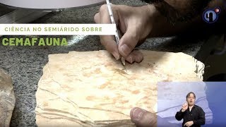 Miniatura do vídeo