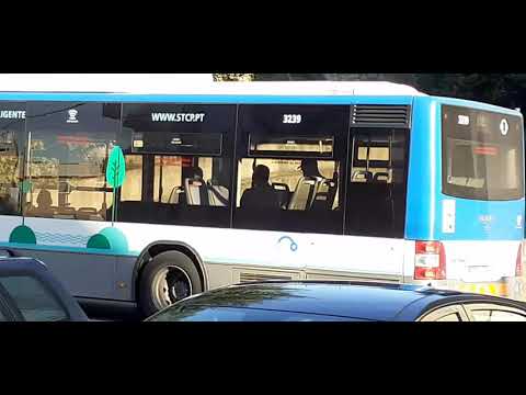 STCP Linha 805 Veiculo 3239