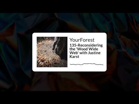 Reconsidering the "Wood Wide Web" with Justine Karst