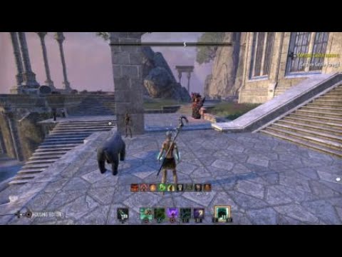 53.7k dps Magicka Warden on 3 mil dummy Scalebreaker