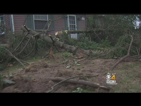 Driver Arrested After Wild Crash In East Bridgewater