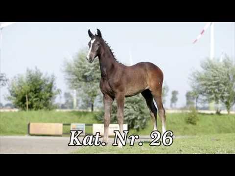 Katalog 26 - 2. Internat  Fohlenauktion 2014 der Hengststation Hell und des Stalles Björn Nagel