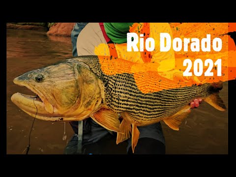 Rio Dorado 