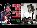 Hound Dog Taylor & The House Rockers  -  I Just Can't Take It  / Live  1972