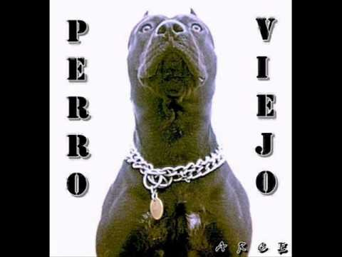 10-ARCE-LA HOSTIA DE DIOS-PERRO VIEJO.
