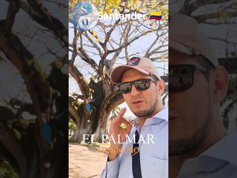 ⛪🇨🇴 EL PALMAR, SANTANDER | Historias que siguen vivas entre sus calles #santander #colombia