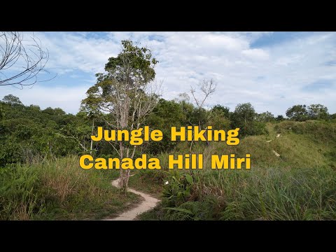Jungle tracking, Canada Hill Miri