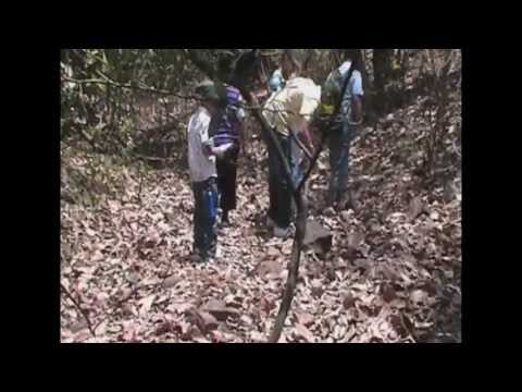 download lagu mp3 mp4 Bnhs Cec Goregaon, download lagu Bnhs Cec Goregaon gratis, unduh video klip Bnhs Cec Goregaon