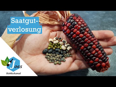 Saatgutverlosung - ein kleines Dankeschön