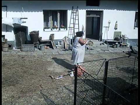 Když blázen, tak blázen !!!  Slunce,seno... :))))