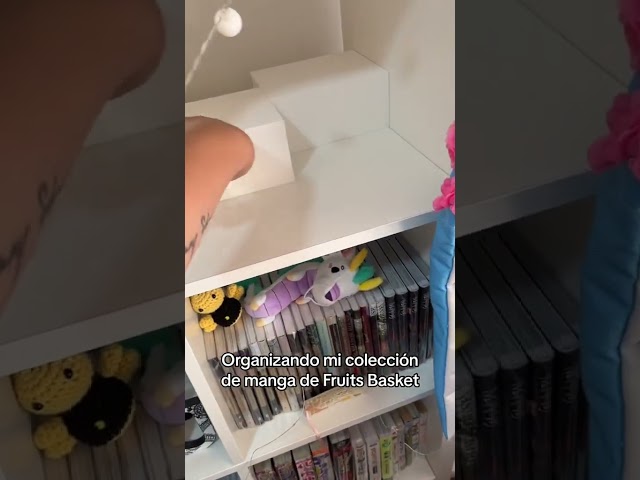 Vídeo relacionado con FRUITS BASKET EDICIÓN COLECCIONISTA 7 (SIN COLECCION)