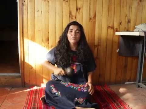 Eu Sou Flor das Aguas - Nova Dimencão - Padrinho Alfredo