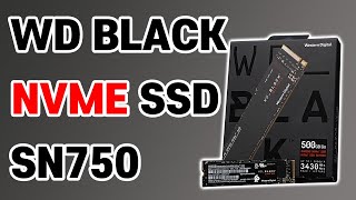 WD BLACK SN750 리뷰 l WD 색상별 용도 [비케이]