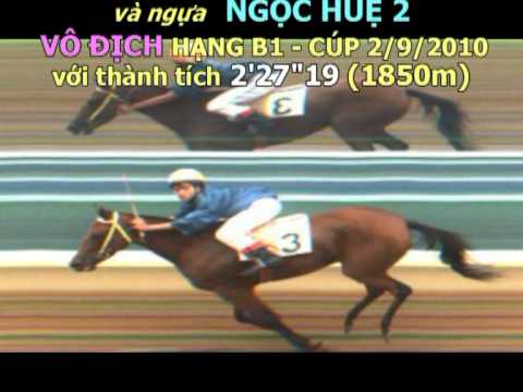 Dua Ngua Cup 2-9.mpg