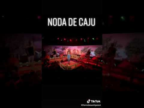 Yara Pamela - Fiquei apaixonada