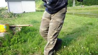 コラボ動画