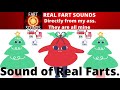 Fart Sound Effect 8 Real Fart