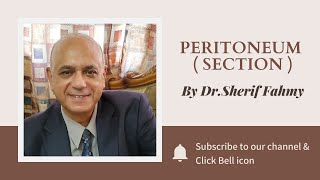 Dr. Sherif Fahmy - Peritoneum ( section )