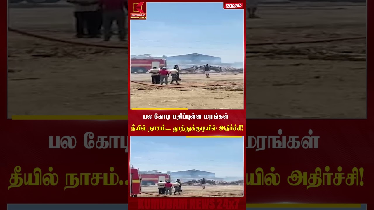 பல கோடி மதிப்புள்ள மரங்கள் தீயில் நாசம் | Thoothukudi | Fire Accident | Tamilnadu kumudam news 24x7