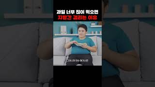 과일이 지방관이랑 관련이 있는 이유
