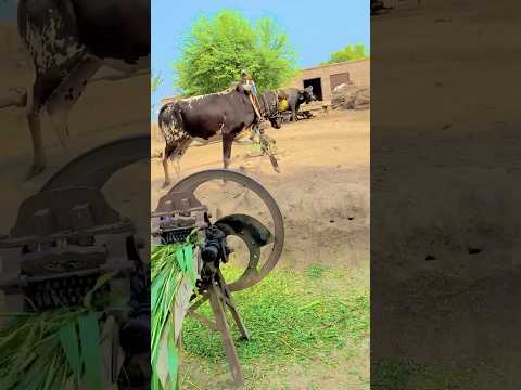 High speed oxygen on help with Gear Toka machine #shortvideo #shortsviral #gear_trend