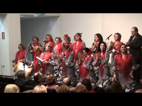 Concierto Pro-Manos Unidas Cáceres