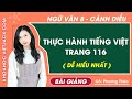 Thực hành tiếng Việt trang 116 Ngữ văn lớp 8 Cánh diều