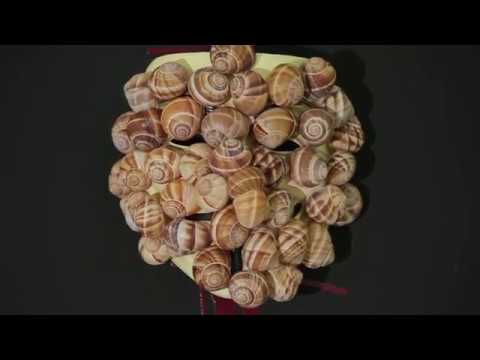 Portrait d’artiste : Nicolas Ceccaldi - Hymne à la joie (english subtitles available)