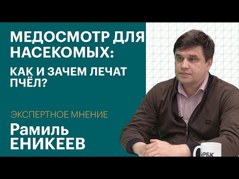 Обложка видео