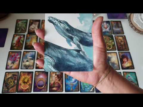 Seelenpartner ohne Kontakt❗Seine Gefühle und Gedanken❓Baldige Kontaktaufnahme🥰Auswahl-Liebes-Orakel