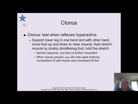 Neurological Assessment Part 3