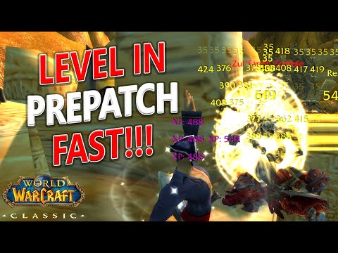 WoW Classic - How to Level Your Paladin / Shaman FAST in TBC Prepatch!!