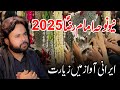 Shahadat E Mola Raza Noha Imam Raza 23 Zilqad 2025 Noha Qurban Jafri 2025